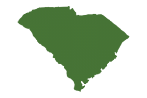 FIC Spray Foam Insulation Experts South Carolina Icon 2 FIC Spray Foam Insulation Experts South Carolina Icon 2
